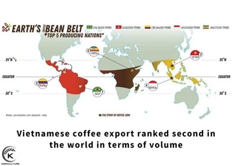 ベトナムのお土産ランキング：なぜコーヒー豆が一番人気なのか？